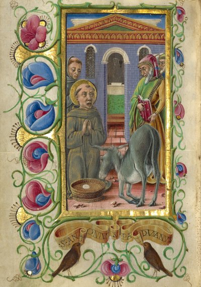 السير أنتوني من بادوا بواسطة تاديو كريفيلي